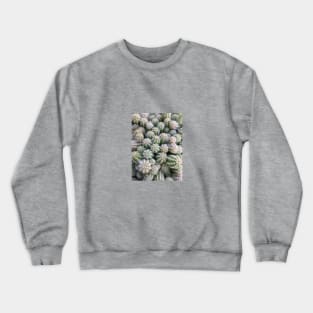 Tiny cactus Crewneck Sweatshirt